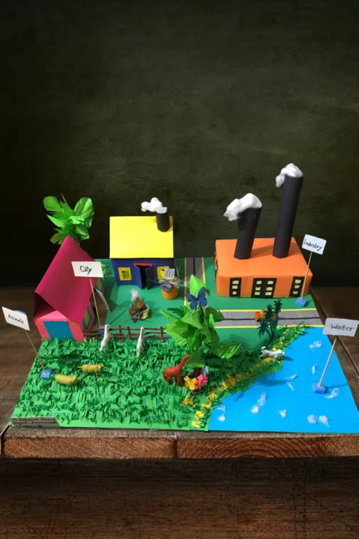 World-Environment-Day-project-ideas